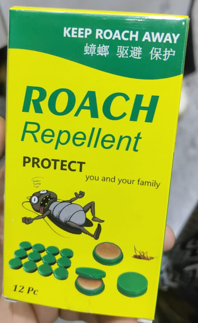 8037
