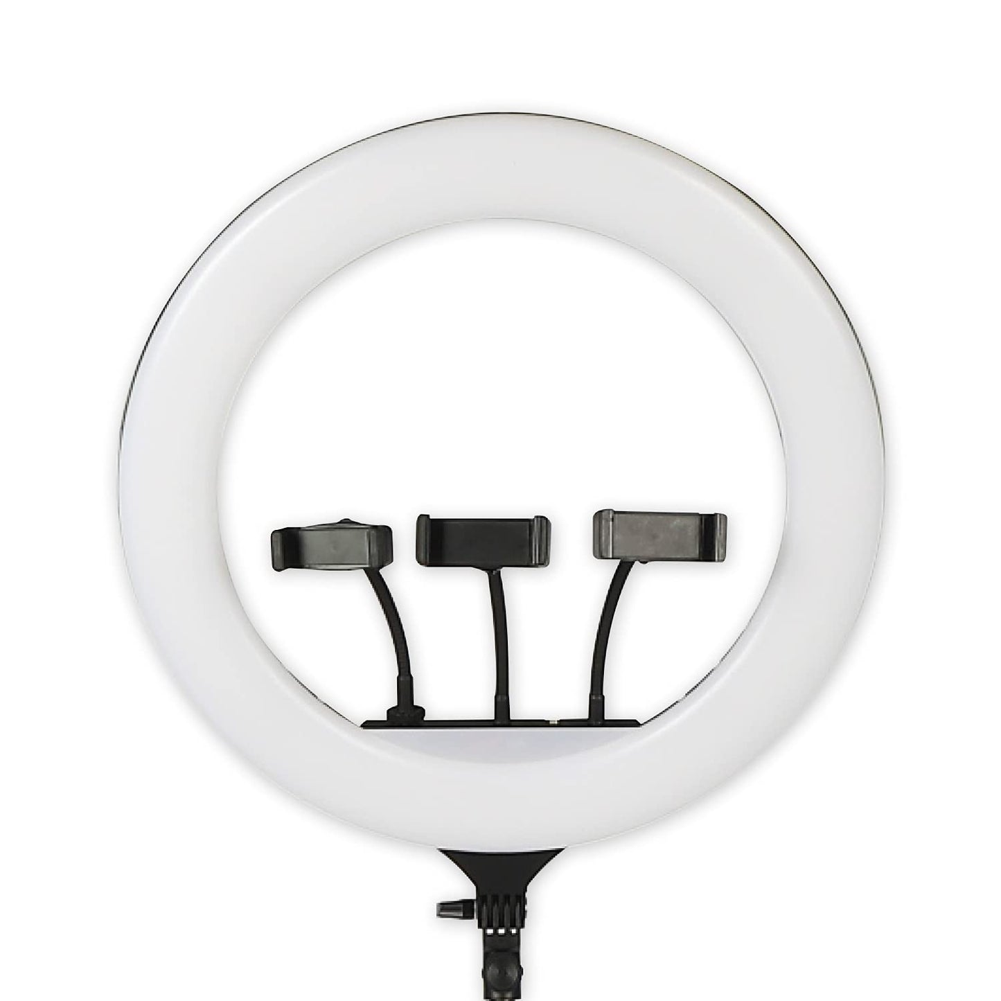 Tygot Professional (14 Inch) Led Ring Light with 7 Feet Tripod Stand for Mobile Phones & Camera, 3 Temperature Mode Dimmable Lighting, Photo-Shoot, Video Shoot, Makeup & More