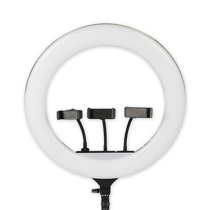 Tygot Professional (14 Inch) Led Ring Light with 7 Feet Tripod Stand for Mobile Phones & Camera, 3 Temperature Mode Dimmable Lighting, Photo-Shoot, Video Shoot, Makeup & More