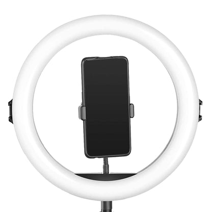 Tygot Professional (14 Inch) Led Ring Light with 7 Feet Tripod Stand for Mobile Phones & Camera, 3 Temperature Mode Dimmable Lighting, Photo-Shoot, Video Shoot, Makeup & More